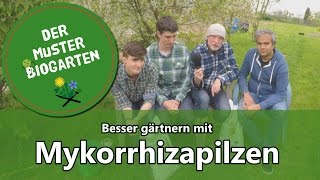 Wie Mykorrhiza Pilze im Garten Ihre Ernte verbessern können [upl. by Meraree463]