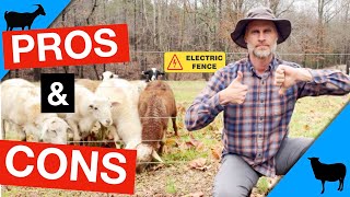 Electric Fence 101 ProsCons and Essentials [upl. by Jandy]