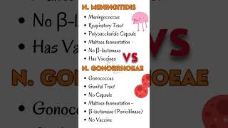 Neisseria Meningitidis Vs Neisseria Gonorrhoeae 🔬 gonorrhea meningitis bacteriology [upl. by Namas]