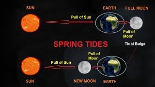 What Causes Tides [upl. by Lenette]