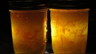 How to make Orange Marmalade  FAST 1 Hour  Useful Knowledge [upl. by Warden]