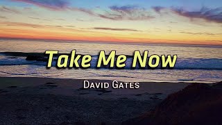 Take Me Now  KARAOKE VERSION  in the style of David Gates [upl. by Ophelie927]