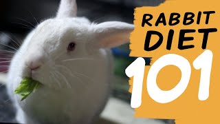 EVERYTHING You Need To Know About a Rabbit Diet [upl. by Aieki]