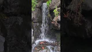 Waterfall at Tumwater falls Park October 2024 [upl. by Elades252]