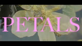 VOILÀ  Petals Official Lyric Video [upl. by Sosthena]