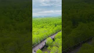 Hua Hin Mangrove Park Aerial view [upl. by Kowal604]