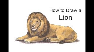 How to Draw a Lion Face  Easy and Simple Drawing for Beginners [upl. by Illehs]