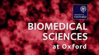 Biomedical Sciences at Oxford University [upl. by Eek49]