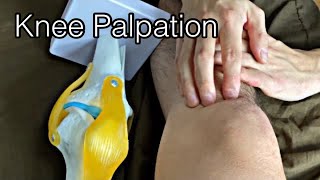 How to palpate knee English [upl. by Lebatsirhc]