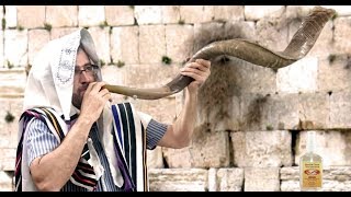 🔴El Shofar y sus significados שופר Levita de Hashem [upl. by Eivol]