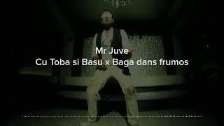 Mr Juve  Cu Toba Si Basu X Baga Dans Frumos Dj1David Mashup [upl. by Elison]