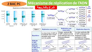 Mécanisme de réplication de lADN 2 BAC PC BIOF شرح بالداريجة [upl. by Akital]