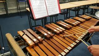 Penny Arcade  National 5 Xylophone  Larkhall Academy [upl. by Osmond]