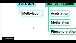 Epigénétique QCM [upl. by Alage323]