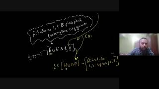 Photosynthesis in Higher Plants  Question Solving  11th NEET Biology  1st Feb 2025 [upl. by Einnep]