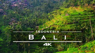 Bali Indonesia 🇮🇩  by drone 4K [upl. by Canice]