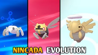 How To Evolve Nincada Into Ninjask And Shedinja In Pokemon Sword amp Shield  Galar Pokedex [upl. by Mccormac]