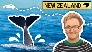 The Great New Zealand Road Trip [upl. by Notxed]