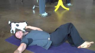 Stretch 5 Supine Twist Stretch and Strengthen Back [upl. by Israel]