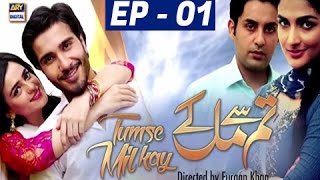 Tumse Mil Kay Episode 01  ARY Digital Drama [upl. by Poirer478]