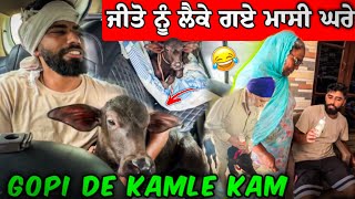 ਜੀਤੋ ਨੂੰ ਲੈਕੇ ਗਏ ਮਾਸੀ ਘਰੇ 😂😂 Gopi De Kamle Kam 😤 manishoker gopishoker funny [upl. by Ivonne]