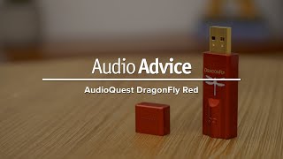 AudioQuest DragonFly Red USB DAC Review [upl. by Daphie]