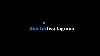 Donizetti Una Furtiva Lagrima LElisir dAmore  Karaoke with Lyrics for Tenor  Instrumental [upl. by Eilahs]