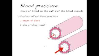 Pressure volume relationships blood vessels and lungs [upl. by Ylek]