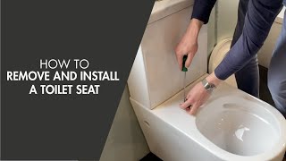 How to Remove and Install a Toilet Seat [upl. by Aneertak]