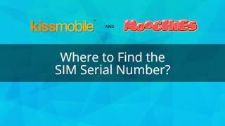 Where to Find SIM Serial Number [upl. by Aedrahs932]