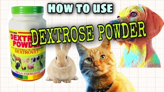 HOW TO USE DEXTROSE POWDER AND ITS BENEFITS TO PETS dextrosepowder [upl. by Milty]