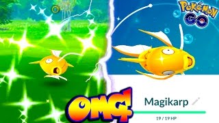 CATCHING A SHINY MAGIKARP IN POKEMON GO FINALLY GOT ONE  When Will More Shinies come to PGO [upl. by Eiramannod133]