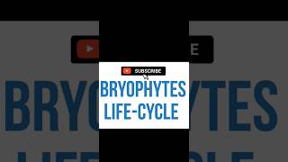 BRYOPHYTES LIFECYCLE [upl. by Aneelad]