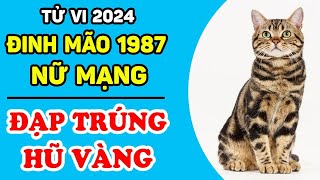 Tử Vi Tuổi Đinh Mão 1987 Nữ Mạng Năm 2024 TIỀN ĐÈ NGẠT THỞ Phất MẠnh Như Diều Gặp Gió  LPTV [upl. by Crispen]