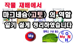 마그네슘 비료Mg 고토비료 역할 알기 쉽게 정리하였습니다 작물재배에서 마그네슘 비료가 하는 기능 설명 고토비료 효과 Mg역할 마그네슘비료 1째 이야기 [upl. by Baruch]