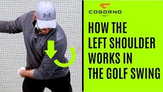 GOLF How The Left Shoulder Works In The Golf Swing [upl. by Nwahsir769]