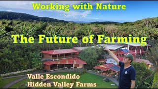 Incredible Regenerative Permaculture Farm [upl. by Okomom]