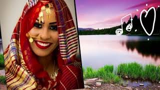 New Eritrean music 2020 Alamin Abduletif Fatma Zahra  Tigre [upl. by Combs]