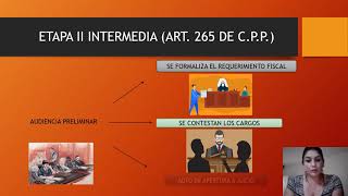 PROCEDIMIENTO ORDINARIO EN EL PROCESO PENAL DE HONDURAS [upl. by Nonez]