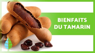 PROPRIÉTÉS et BIENFAITS du TAMARIN 🥜✅ Utilisations consommations et contreindications [upl. by Rise]