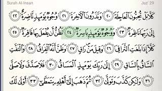 Surah  75  AlQiyamah  Accurate Tajweed recitation of Quran  Mahmoud Khaleel AlHussary [upl. by Etan703]