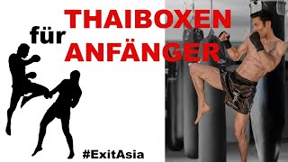 Thaiboxen Anfänger Training 1 [upl. by Anyrtak]