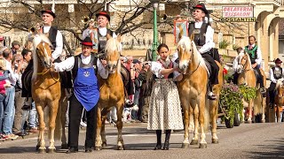 🏇 Haflinger Galopprennen in Meran 2019  Festumzug [upl. by Pratte111]