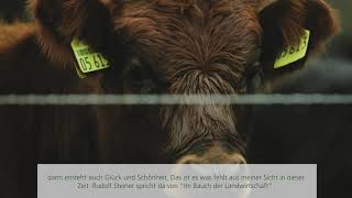 Voelkel erklärt  Wie DemeterLandwirtschaft Lebensqualität schafft [upl. by Desi838]