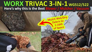 Why WORX Trivac 3in1 Leaf Blower  Mulcher  Vacuum is Best Corded Leaf Blower for Wet Debris [upl. by Enyaz]