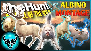 Albino Montage 1 16 of My Favorite Albino Trophies  theHunter Call of the Wild [upl. by Labors424]