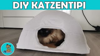 Katzentipi selber machen in 5 Minuten  DIY Katzenzelt ✅ [upl. by Ycniuqed]