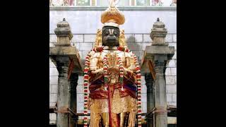 Arulmigu Narasimaswamy Temple live streaming Live Stream [upl. by Buckingham]