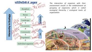 Ecology introduction and basic concepts Class 1Ecology definition Autecology synecology [upl. by Enyawd182]