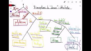8 Conceptions de dieu  Athéïsme agnosticisme déïsme théïsme trinité panthéïsme panenthéïsme [upl. by Ilak]